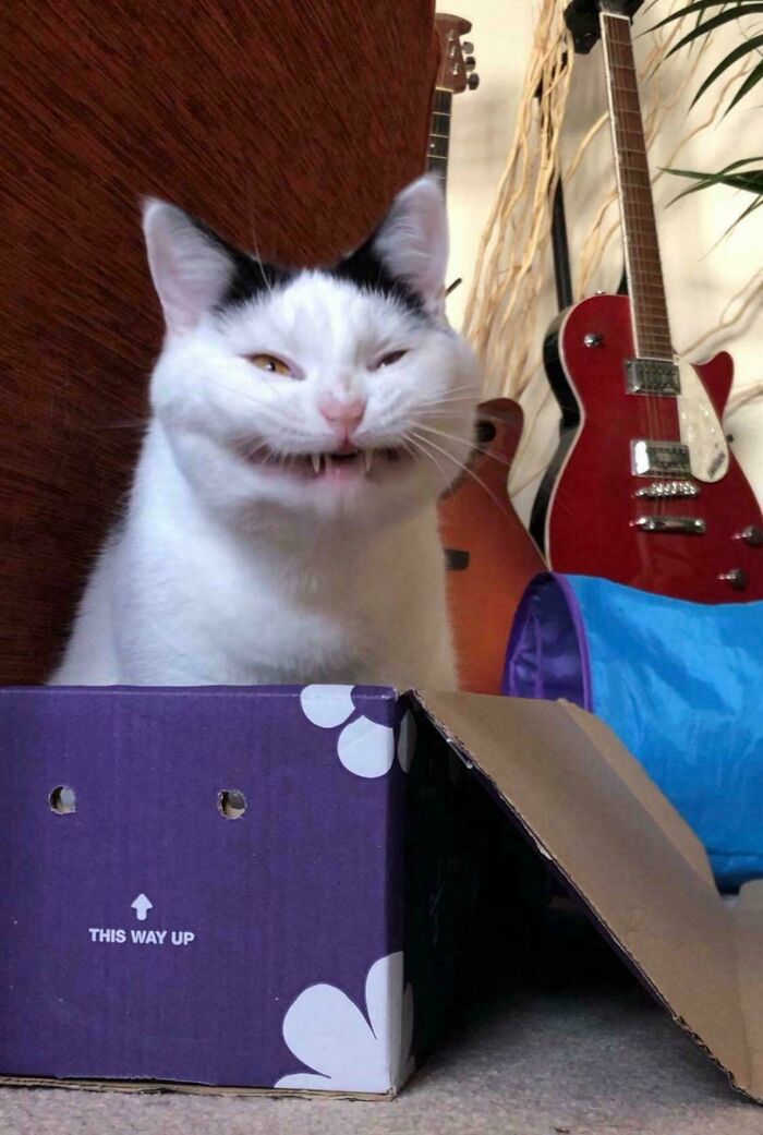 image-20260220163902-17