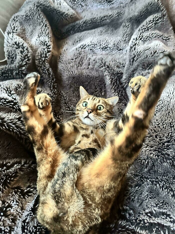 image-20260220163904-18