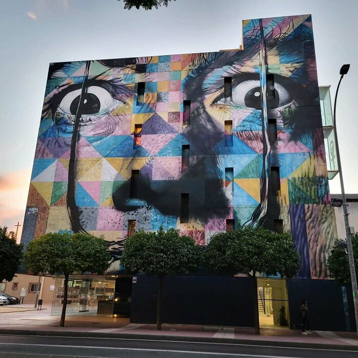 image-20260224144007-1