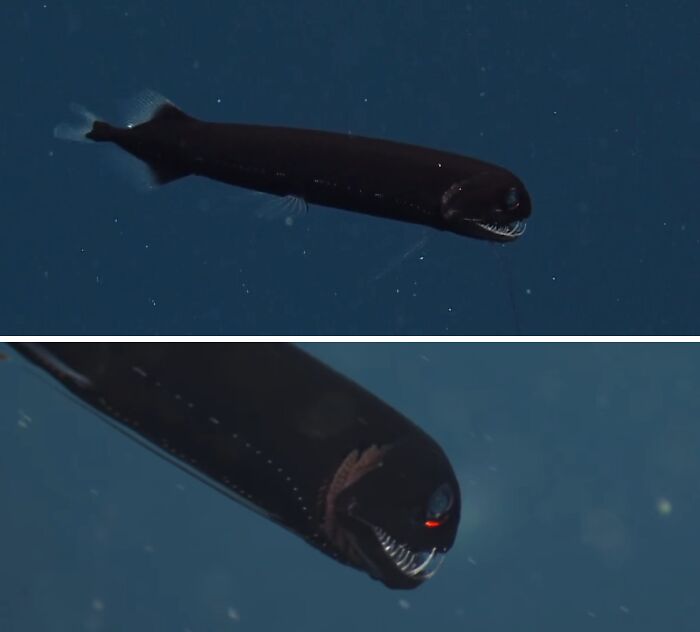 image-20260225122406-3