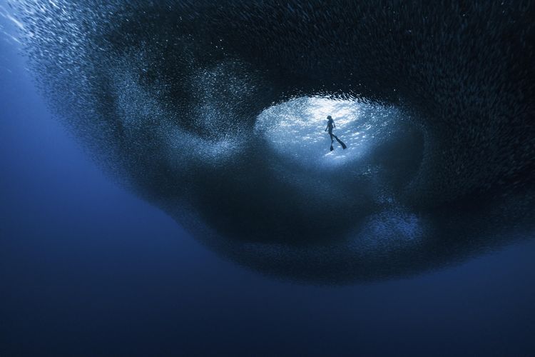 image-20260225122428-10