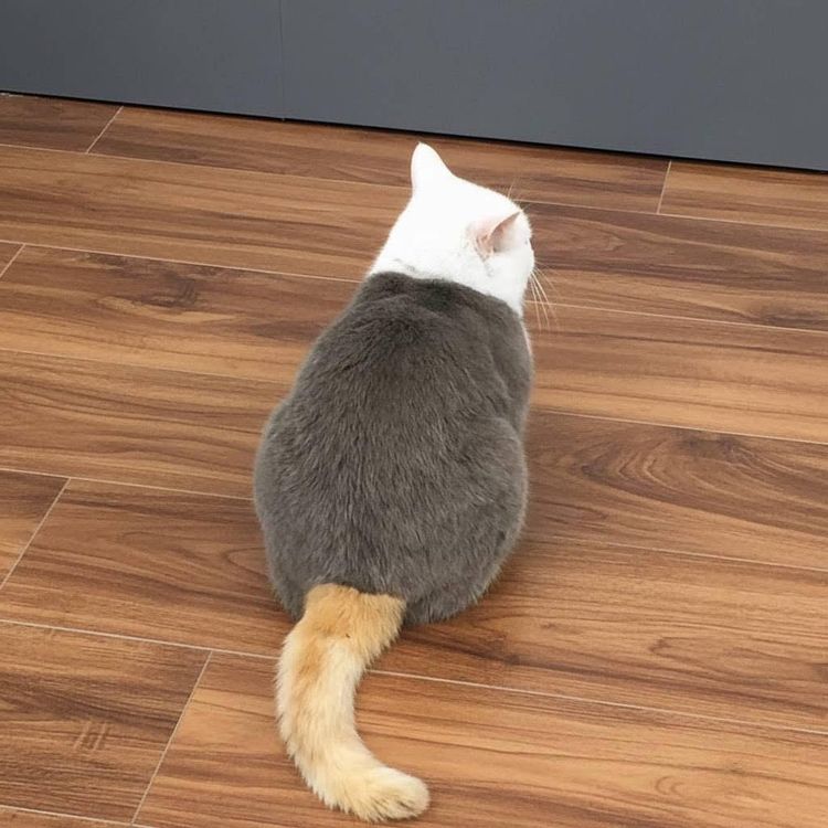 image-20260225135932-4