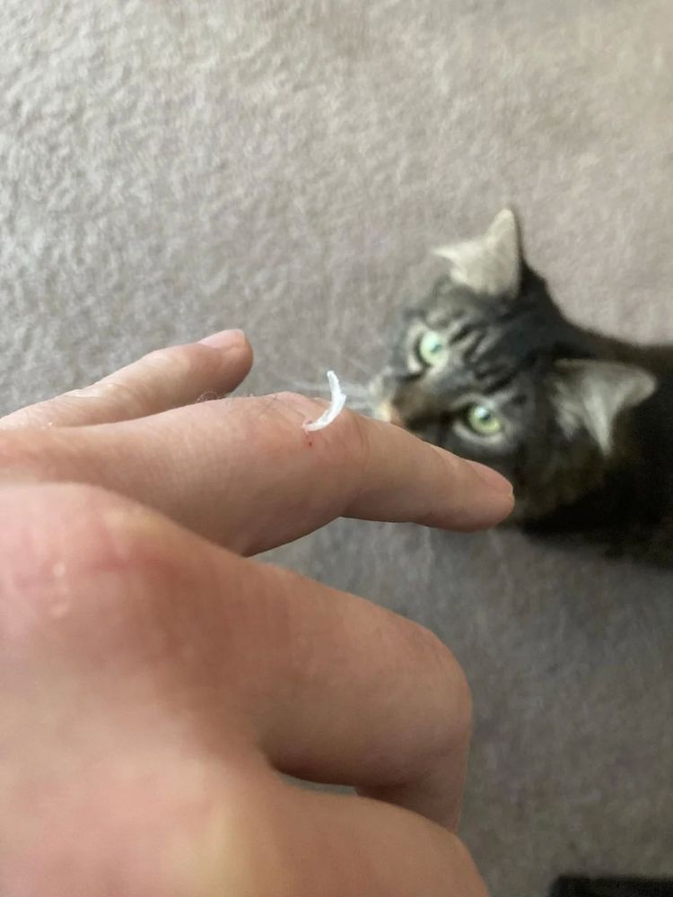 image-20260225135941-7