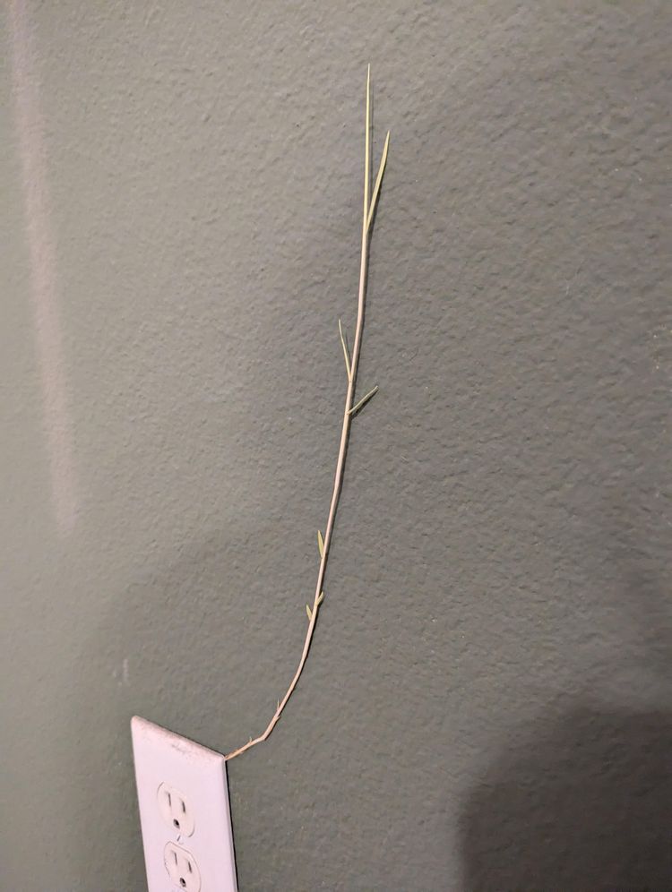 image-20260225135954-12