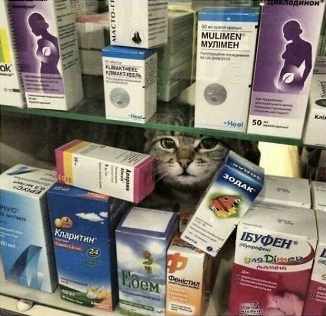 image-20260225162613-9