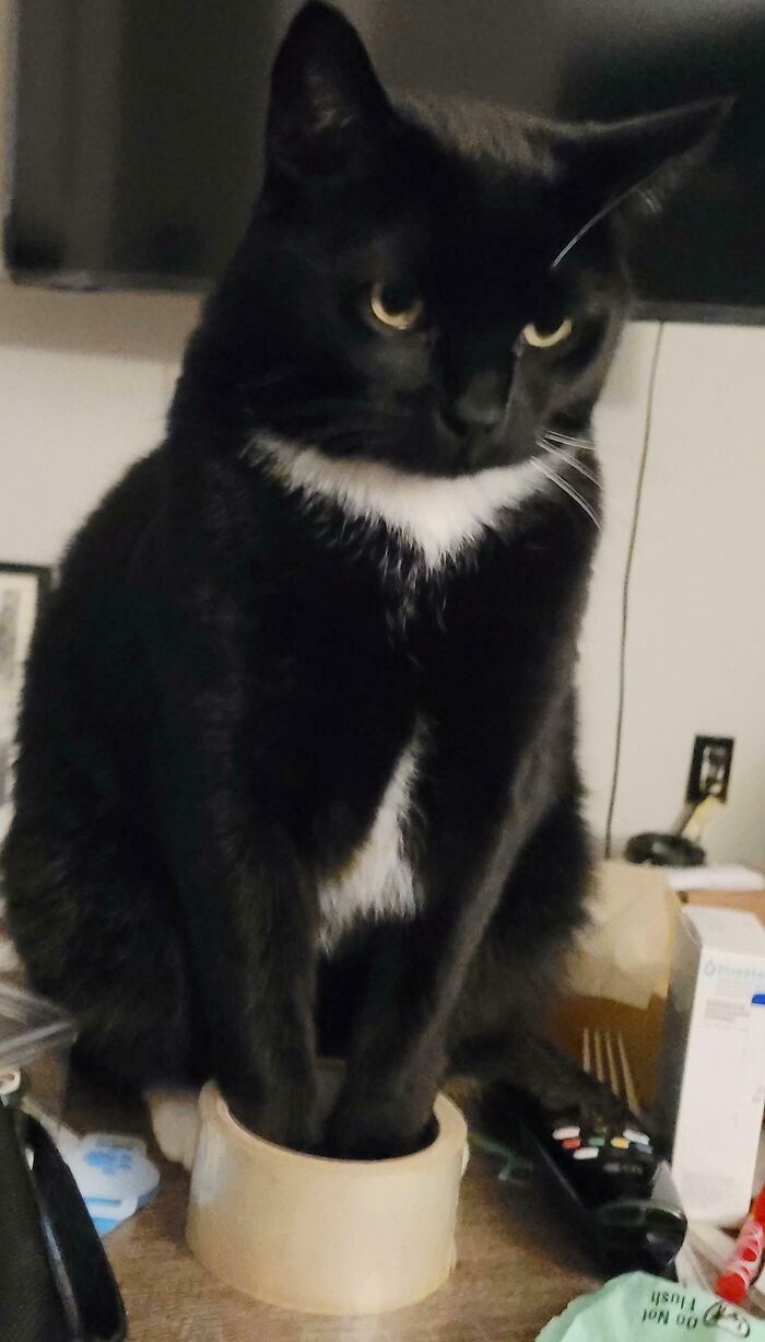 image-20260225170257-16