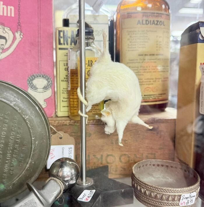 image-20260226130910-14