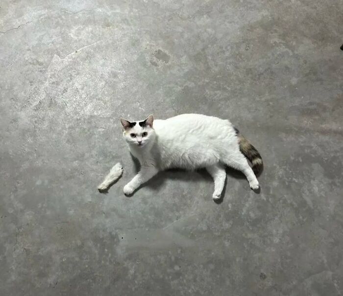 image-20260227123221-4