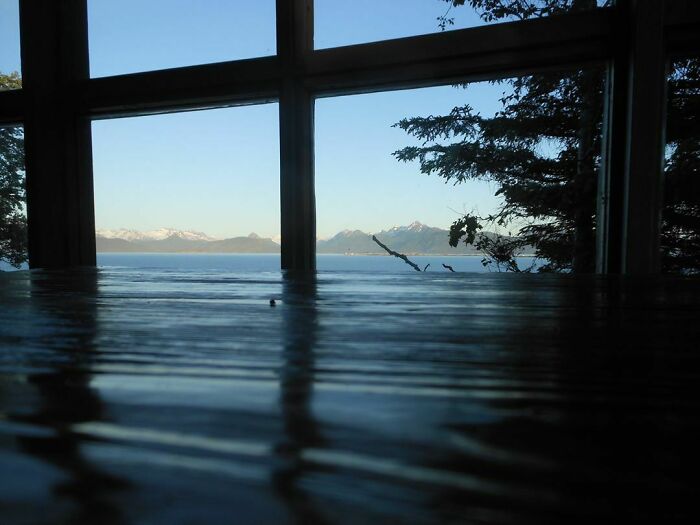 image-20260227124814-8