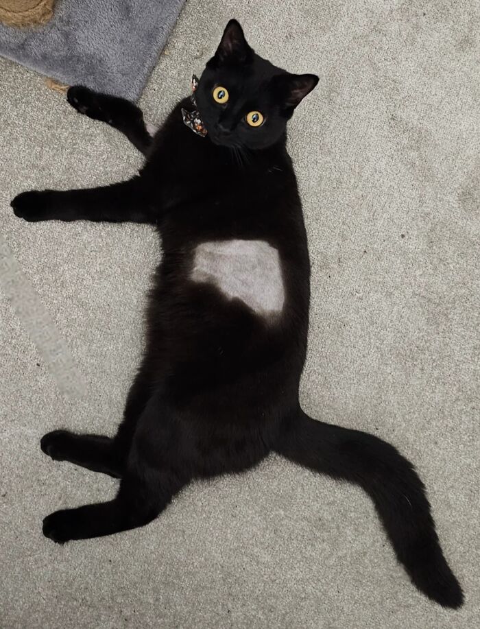 image-20260227124827-12