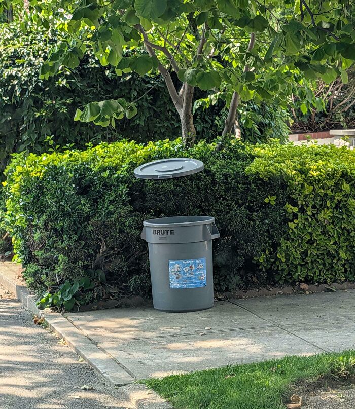 image-20260227124833-14