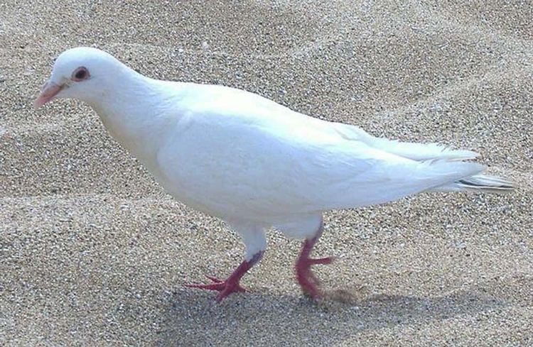 image-20260227143943-8