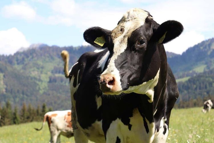 image-20260302144658-4