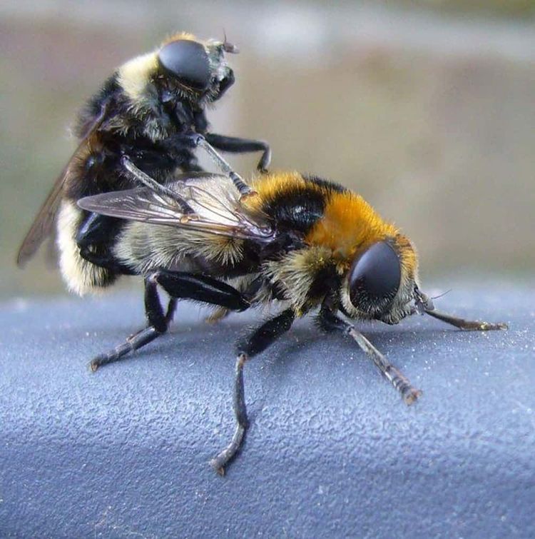 image-20260302144710-8