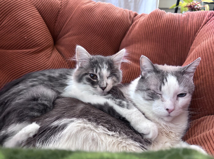 image-20260302170811-4