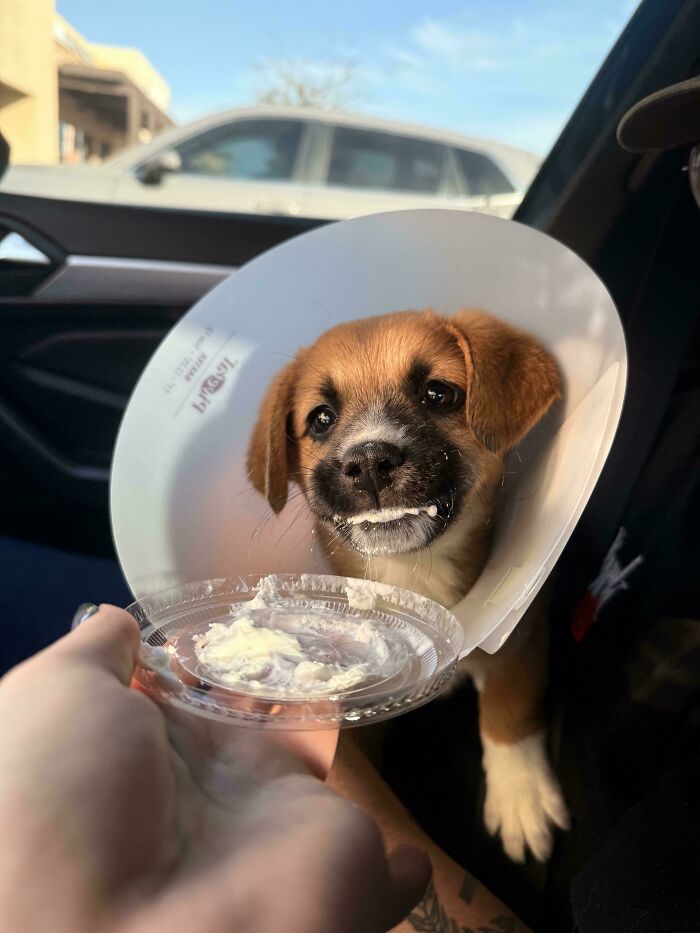 image-20260302170826-5