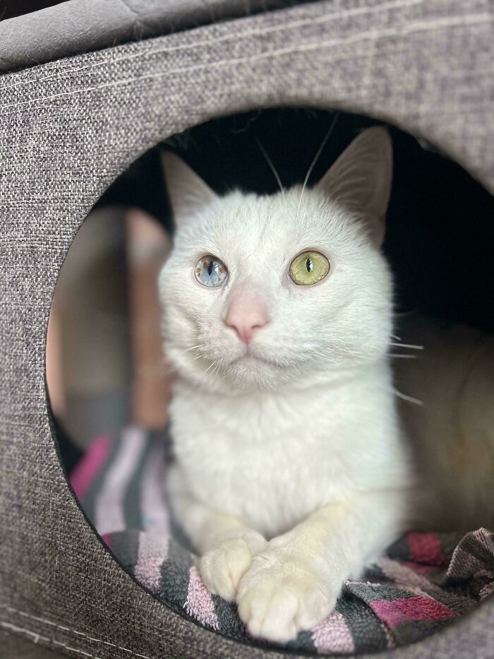 image-20260302170829-6