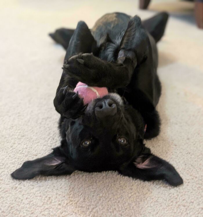 image-20260302171136-7