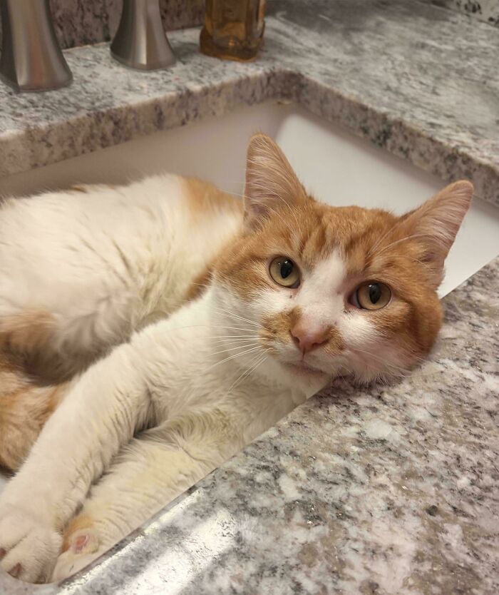 image-20260302171139-8