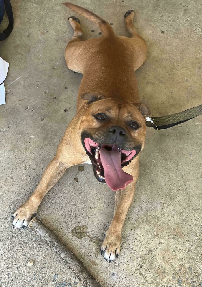 image-20260302171145-10