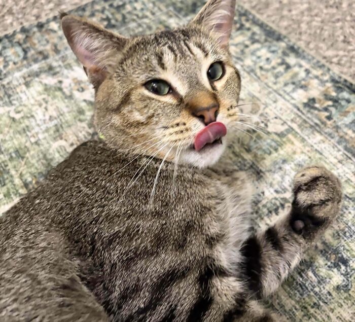 image-20260302171150-12