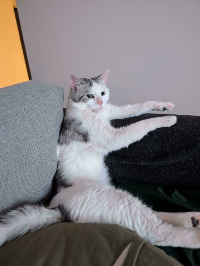 image-20260302171154-13