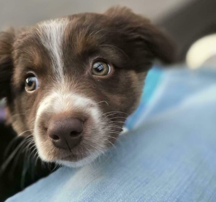 image-20260302171202-16