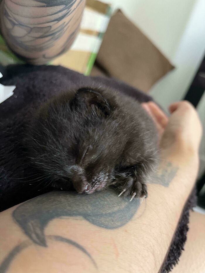 image-20260302171204-17