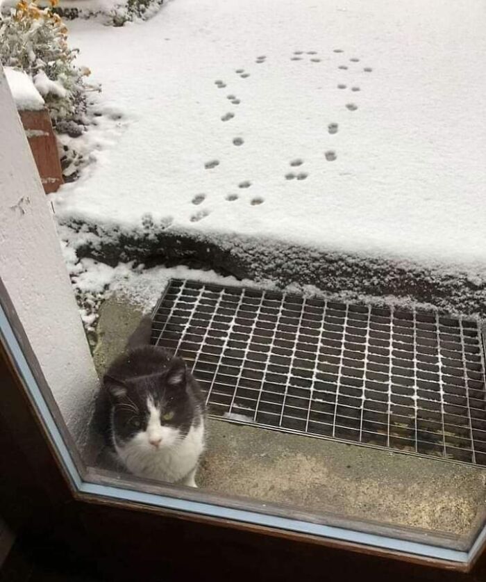 image-20260304123805-2