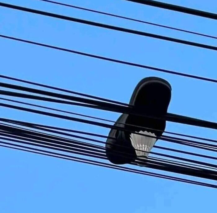 image-20260304123830-10