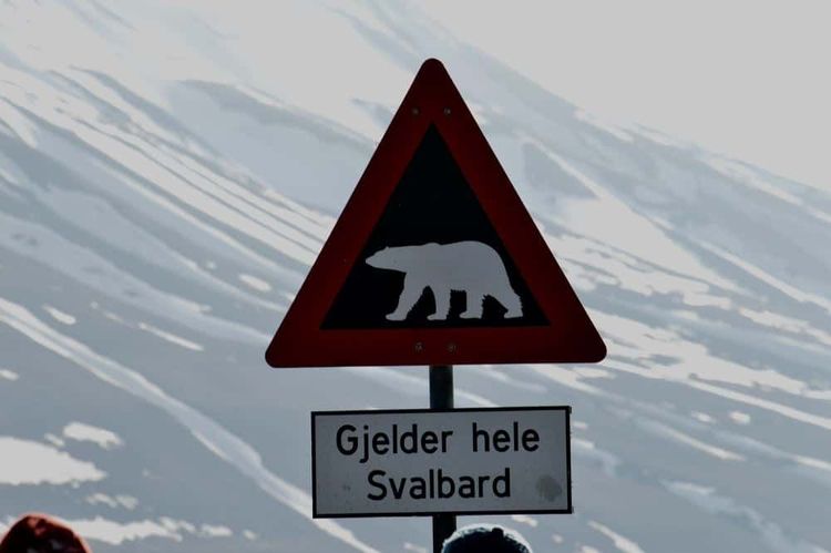 image-20260304153351-4