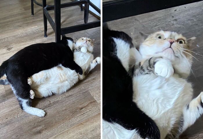 image-20260305190647-1