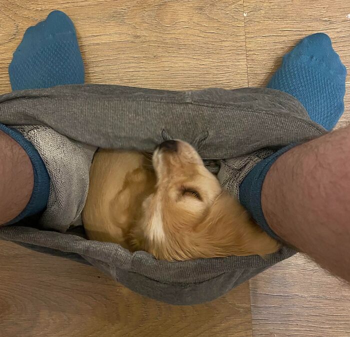 image-20260305190654-4