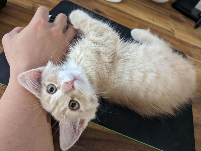 image-20260305190701-5