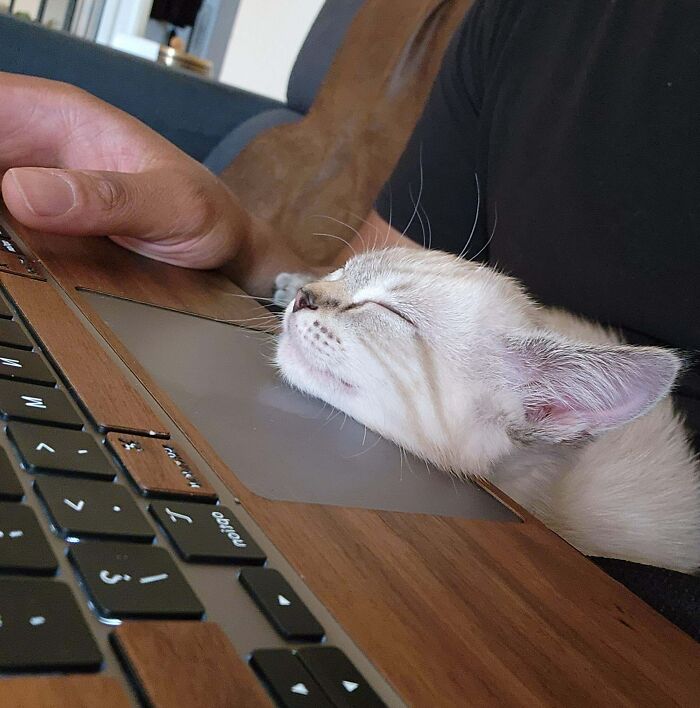 image-20260305190708-8