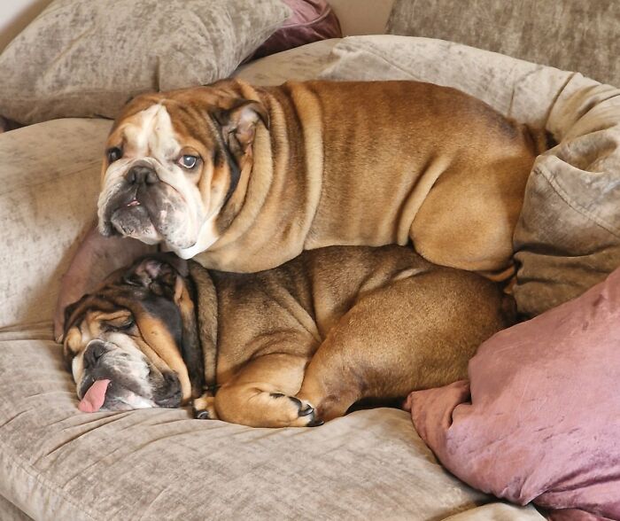 image-20260305190712-9