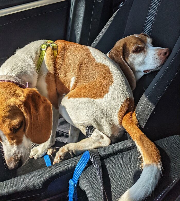 image-20260305190803-15