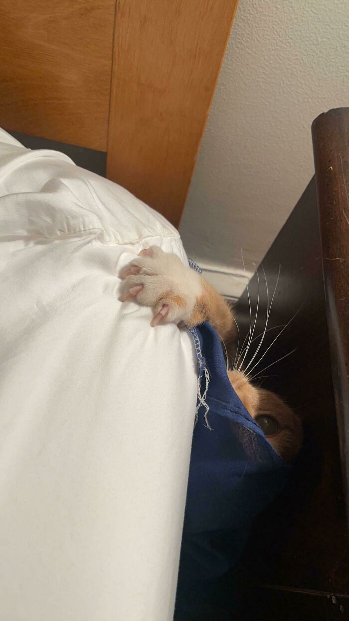 image-20260309221423-1