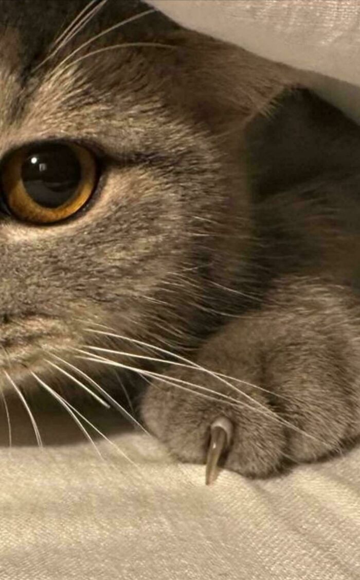 image-20260309221426-2