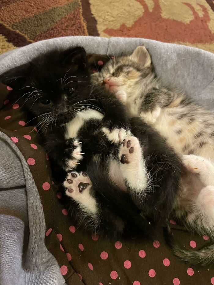 image-20260309221429-3