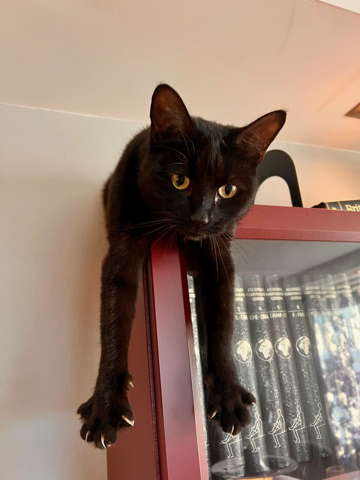 image-20260309221431-4