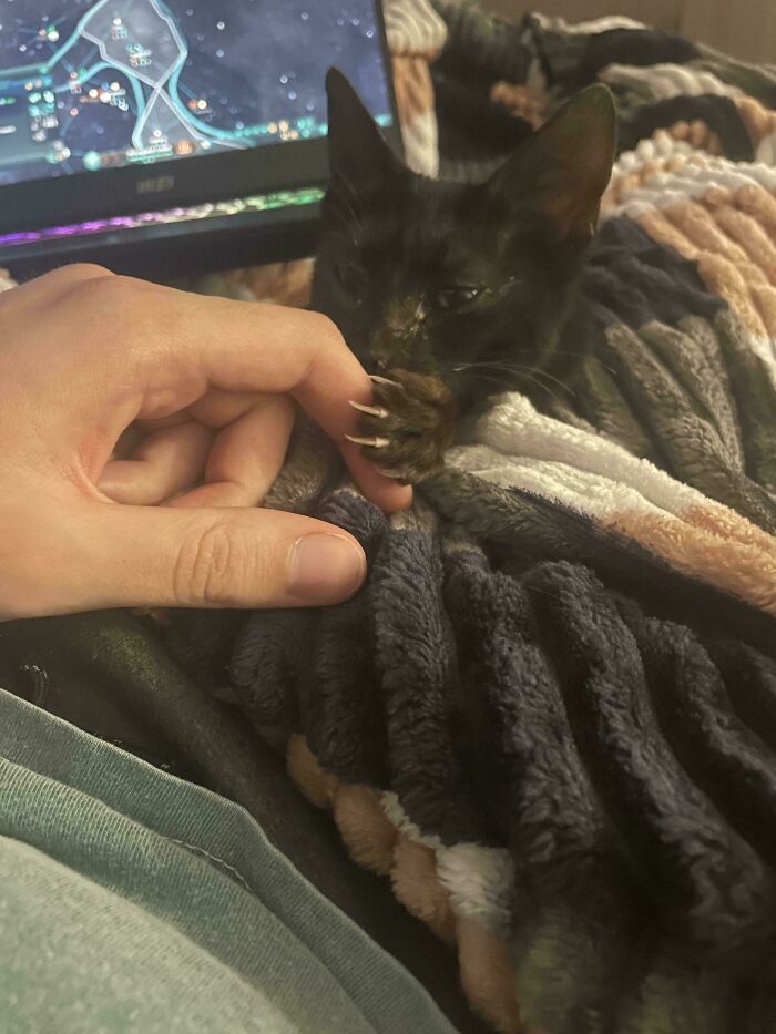 image-20260309221828-6