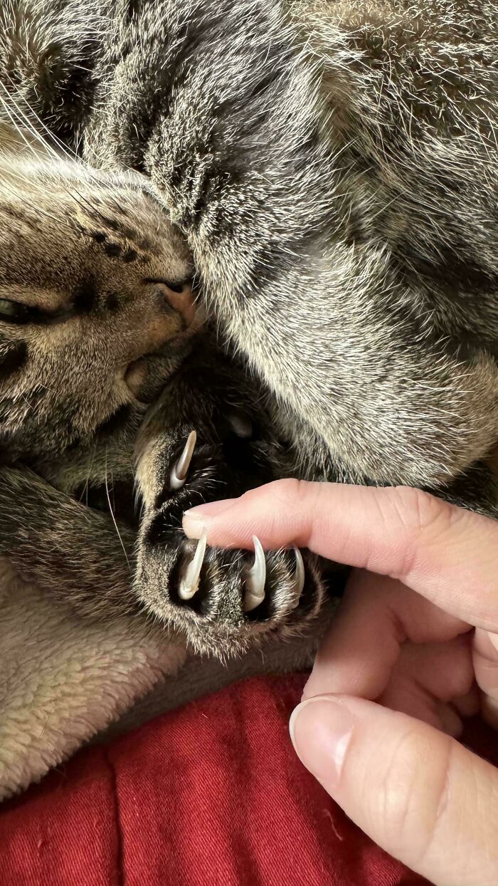 image-20260309221835-8