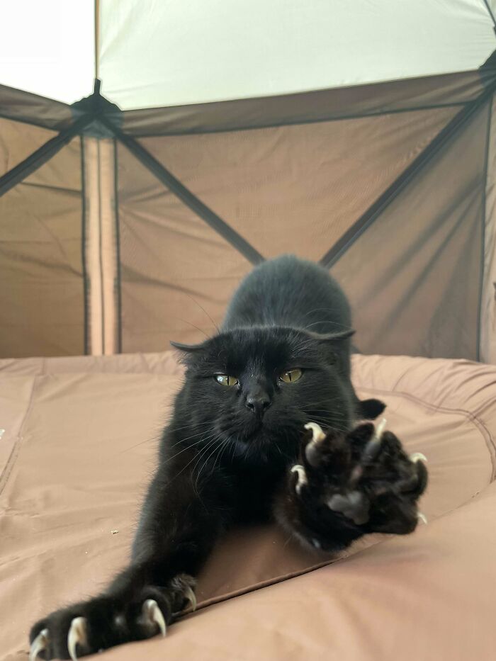 image-20260309221935-13