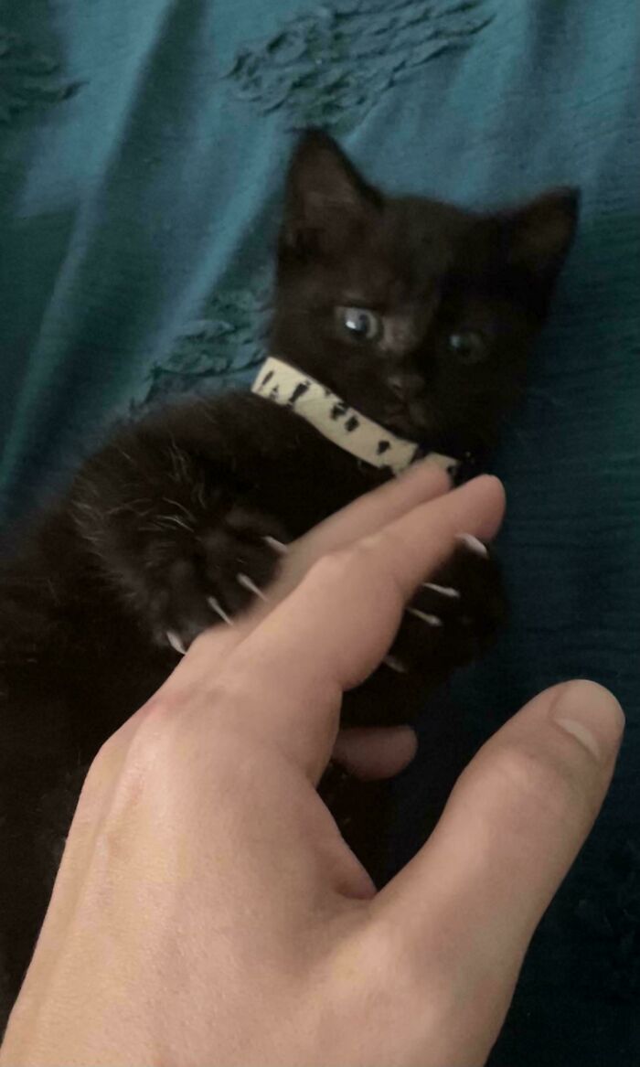 image-20260309221938-14