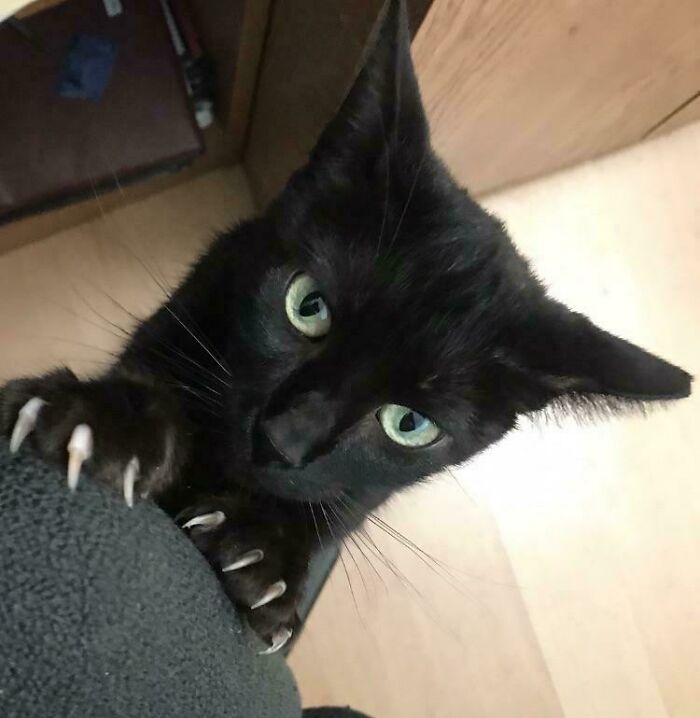 image-20260309221948-17