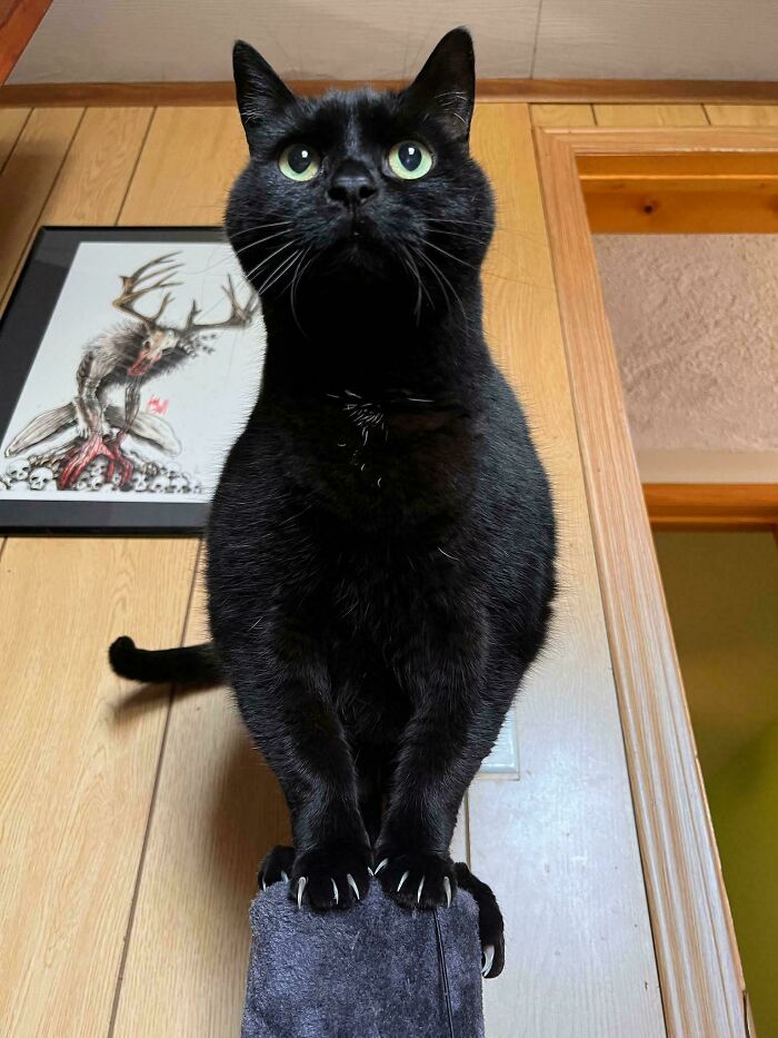 image-20260309221951-18