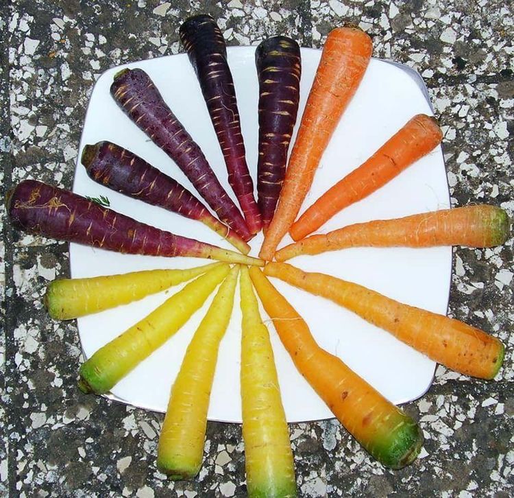 image-20260310144224-1