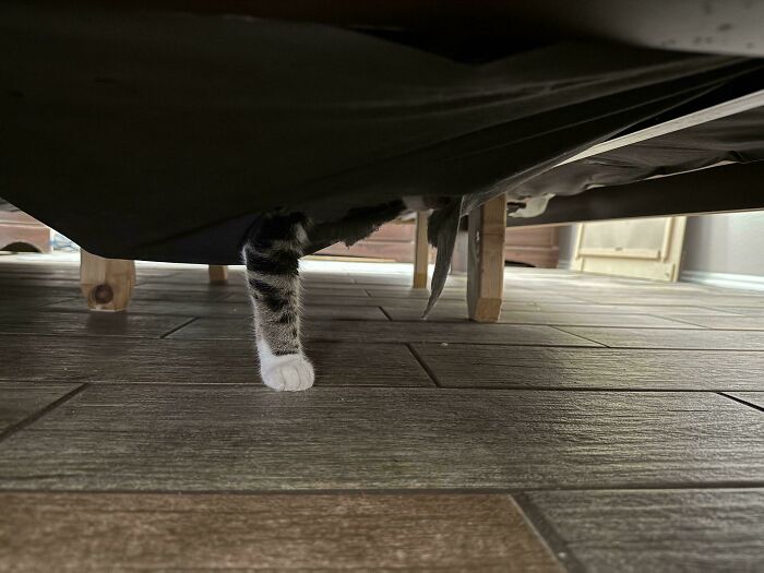 image-20260311001610-8