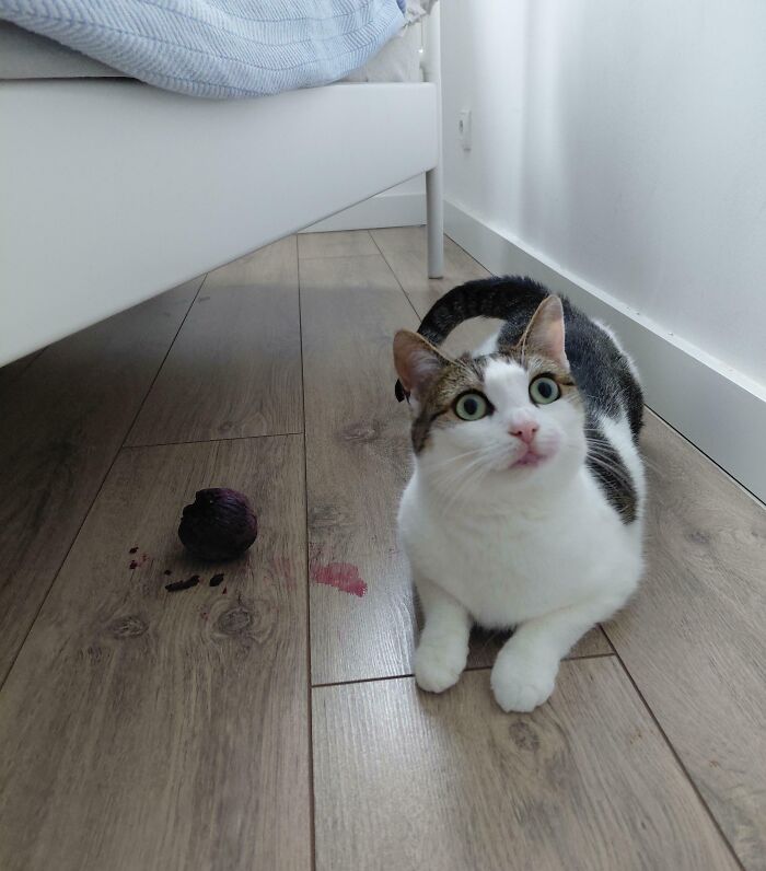 image-20260312002956-9